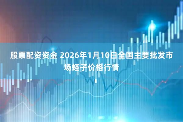 股票配资资金 2026年1月10日全国主要批发市场蛏子价格行情