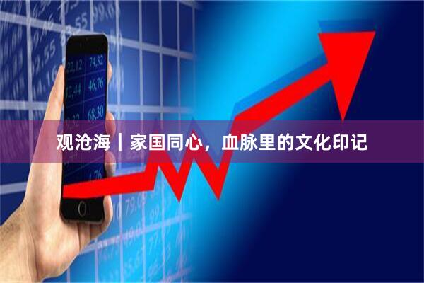 观沧海｜家国同心，血脉里的文化印记