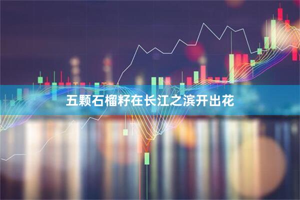 五颗石榴籽在长江之滨开出花