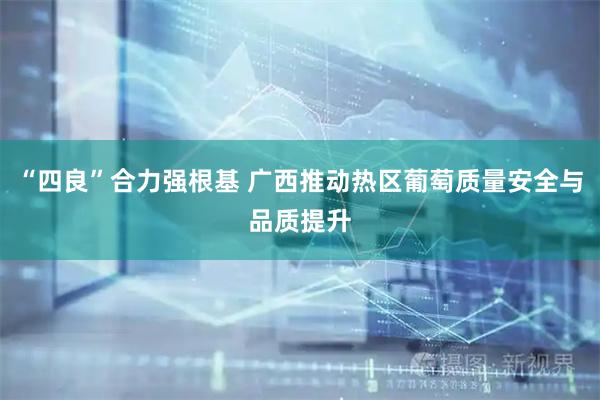 “四良”合力强根基 广西推动热区葡萄质量安全与品质提升